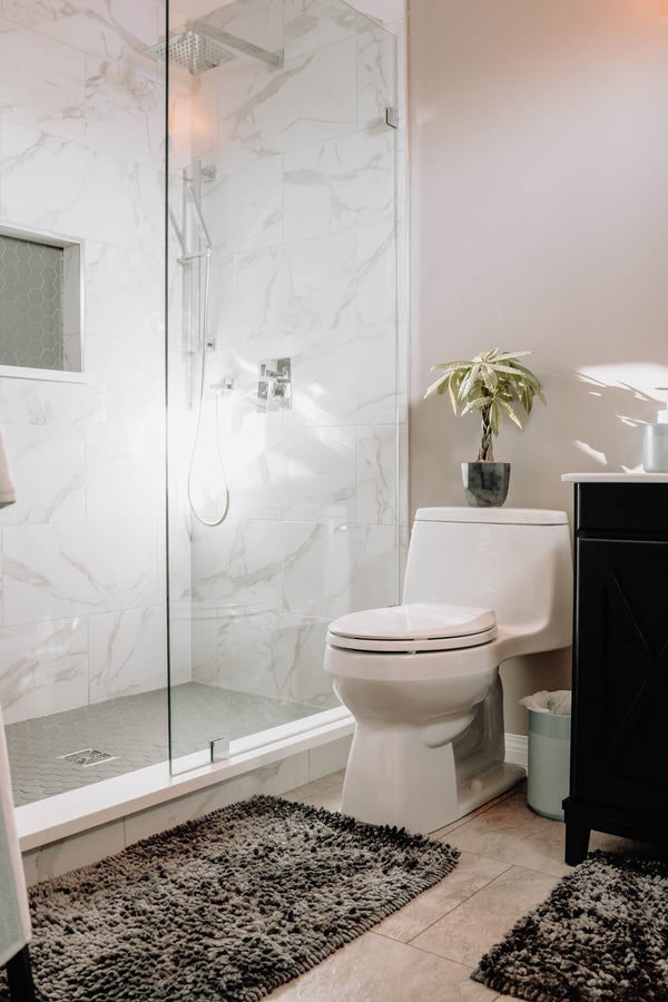 A Guide to Choosing the Right Toilet for Your Home - Cass Brothers