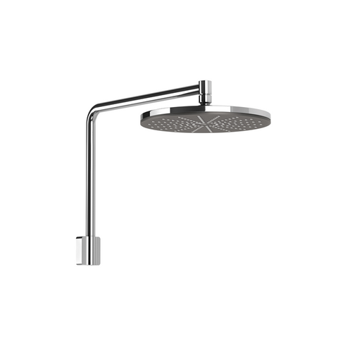 Phoenix NX Vive - 604-5100-00 - Shower Arm & Rose