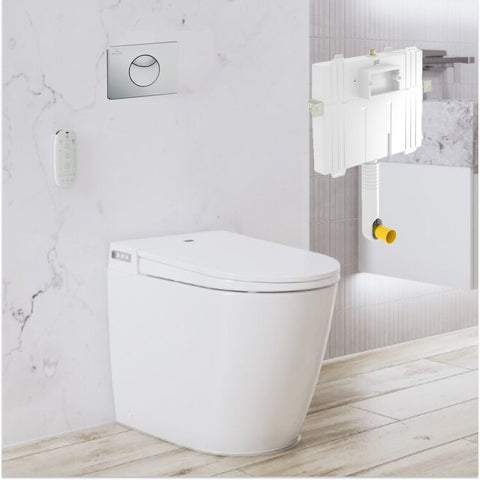 Argent Evo Wall Faced ViSmart Toilet Package Includes E100 Satin Button