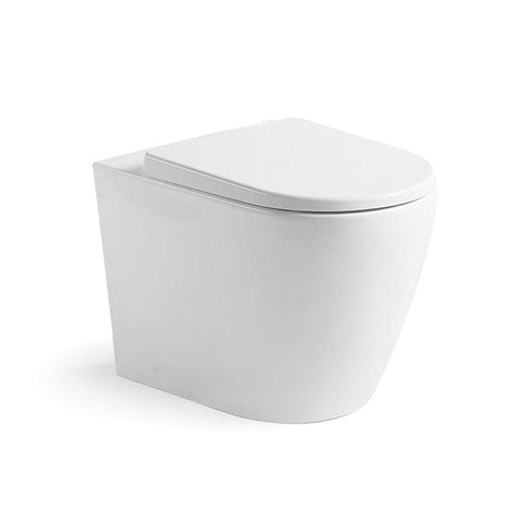 Argent Vista HygienicFlush Wall Faced S&P Trap Toilet