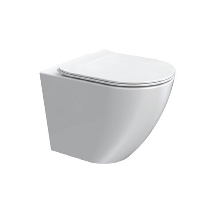 Parisi Ellisse Mk II Wall Faced Toilet with Slim S/Close Seat (Special S)