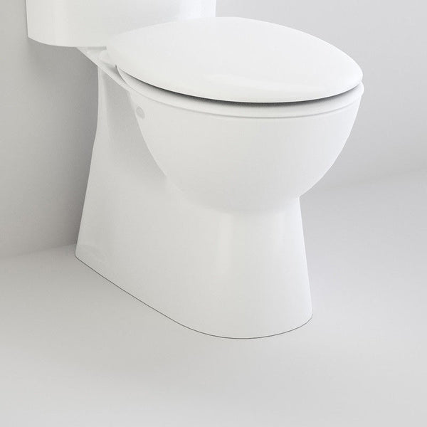 6 Possible Toilet Options – Which is Right for You?