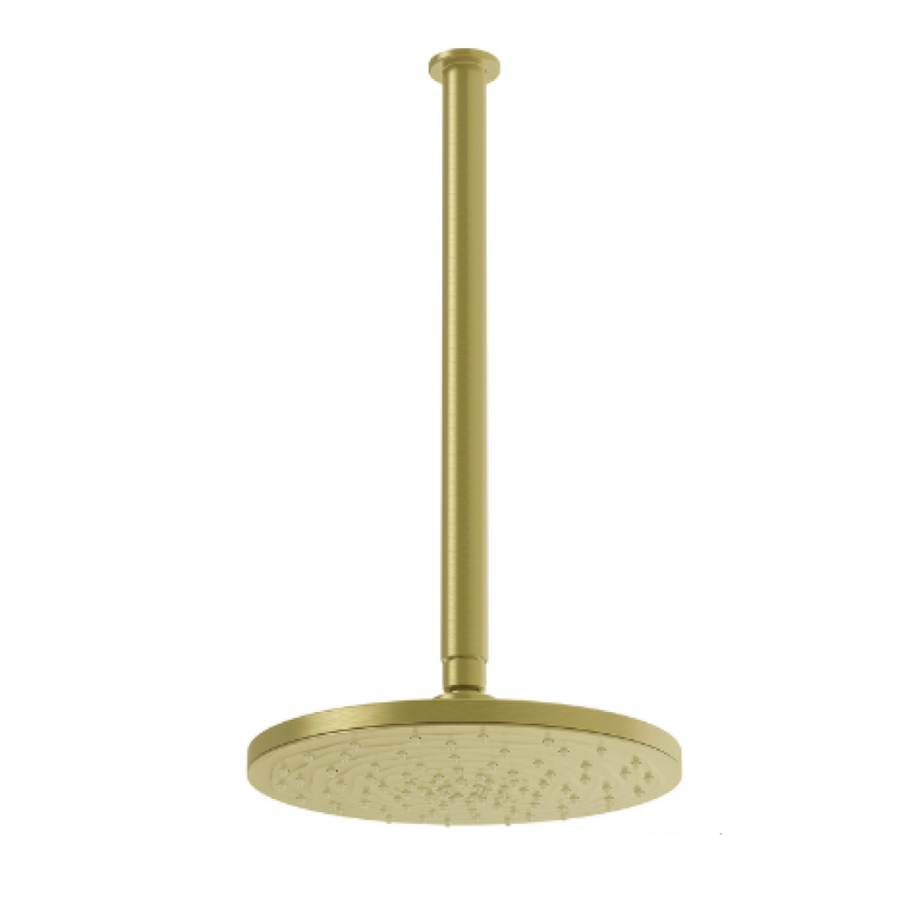 Greens Optima Ceiling/Overhead Shower Rose & Arm - Brushed Brass - 1920026