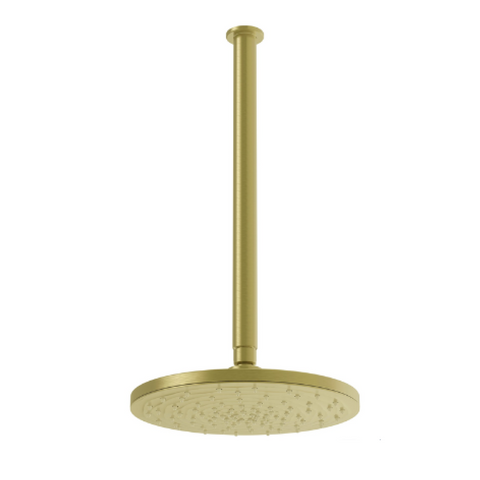 Greens Optima Ceiling/Overhead Shower Rose & Arm - Brushed Brass