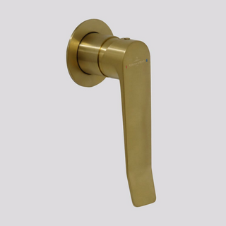 Villeroy & Boch O.Novo Style ViCare Wall Mixer (Trim Kit Only) - Brushed Gold 2267585B