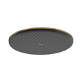 HANSGROHE | HG RAINDACE ALIVE S OHS 300 1 JET  | HG RAINDANCE ALIVE  S  | BRUSHED BRONZE