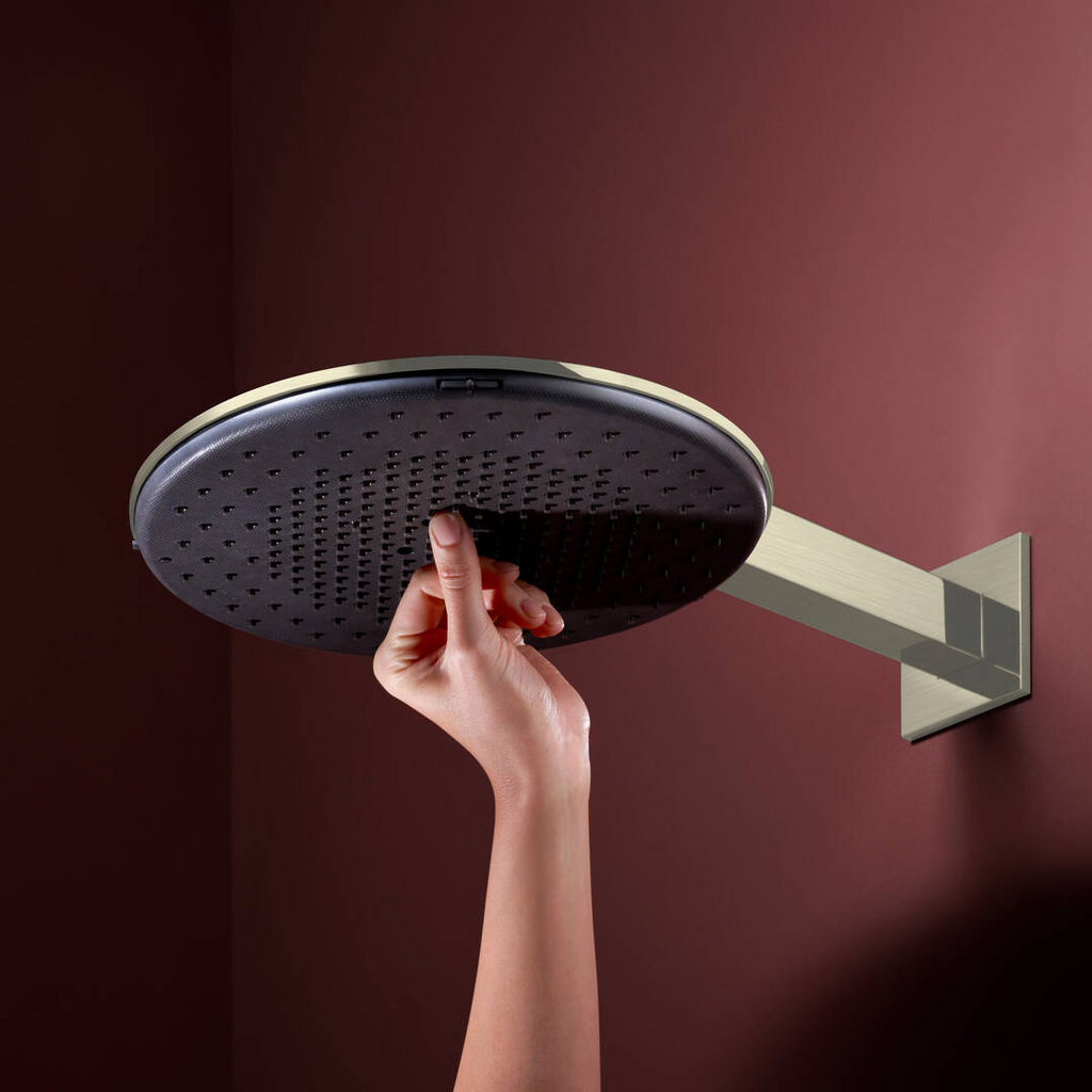 Hansgrohe Raindance Alive S 2Jet Overhead Shower with Shower Arm - Brushed Nickel