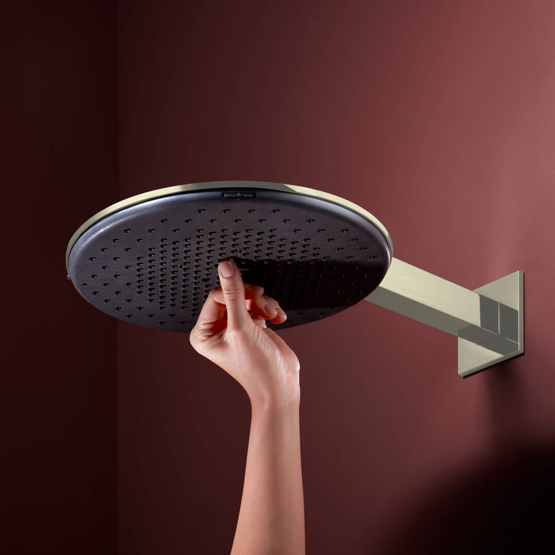 Hansgrohe Raindance Alive S 2Jet Overhead Shower with Shower Arm - Brushed Nickel