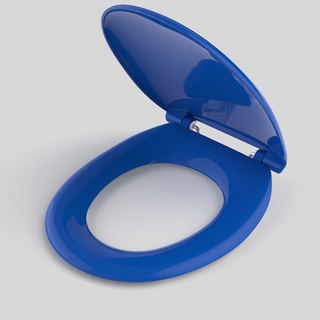Caroma Caravelle Care Double Flap Toilet Seat with GermGard - Sorrento Blue 254008SB
