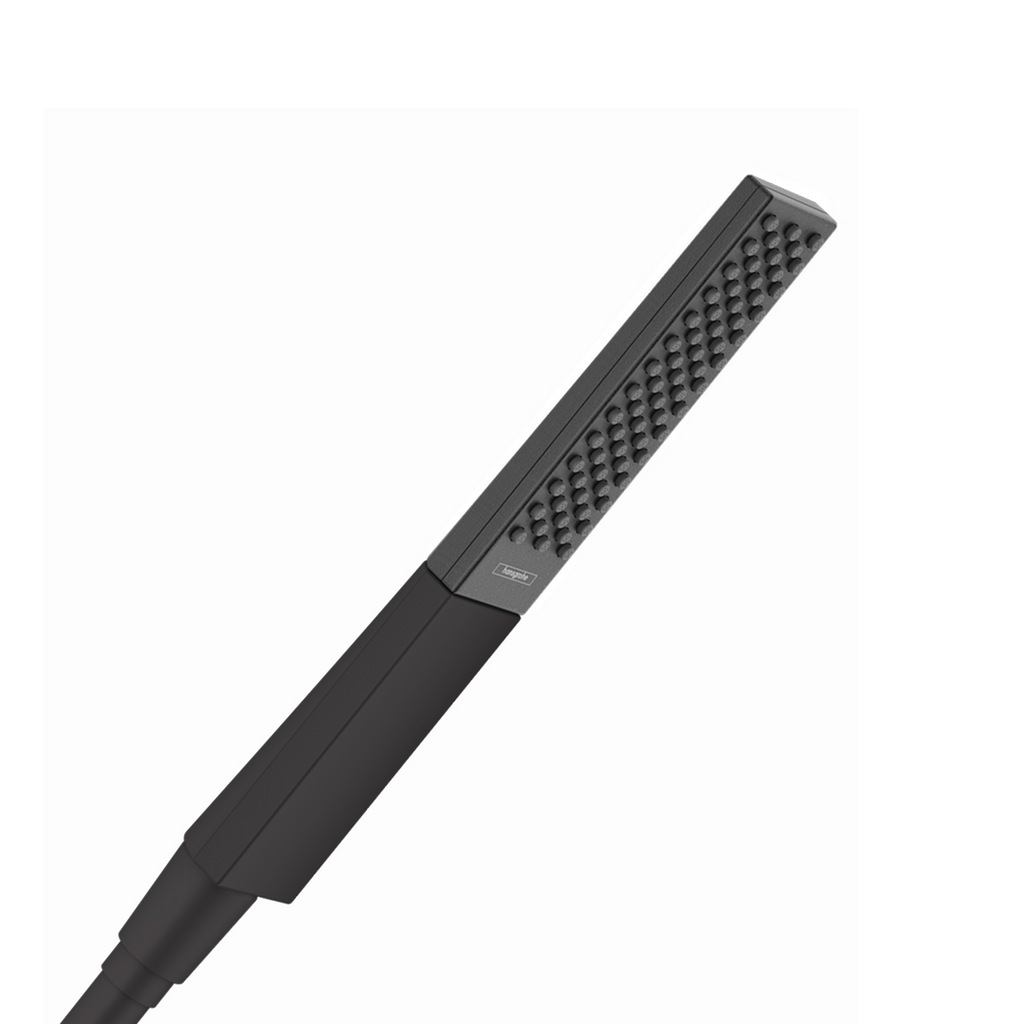 Hansgrohe Rainfinity Baton Hand Shower 100 1jet EcoSmart - Matte Black - 26867670