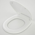 Caroma Profile Soft Close Seat Plastic Hinge with GermGard - 300019W