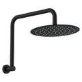 Fienza Kaya Gooseneck Shower Arm Set, Matte Black - 411125B-A