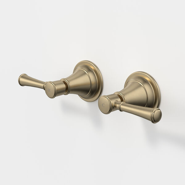 Caroma Riviere Wall Top Assembly Set - LF Brushed Brass