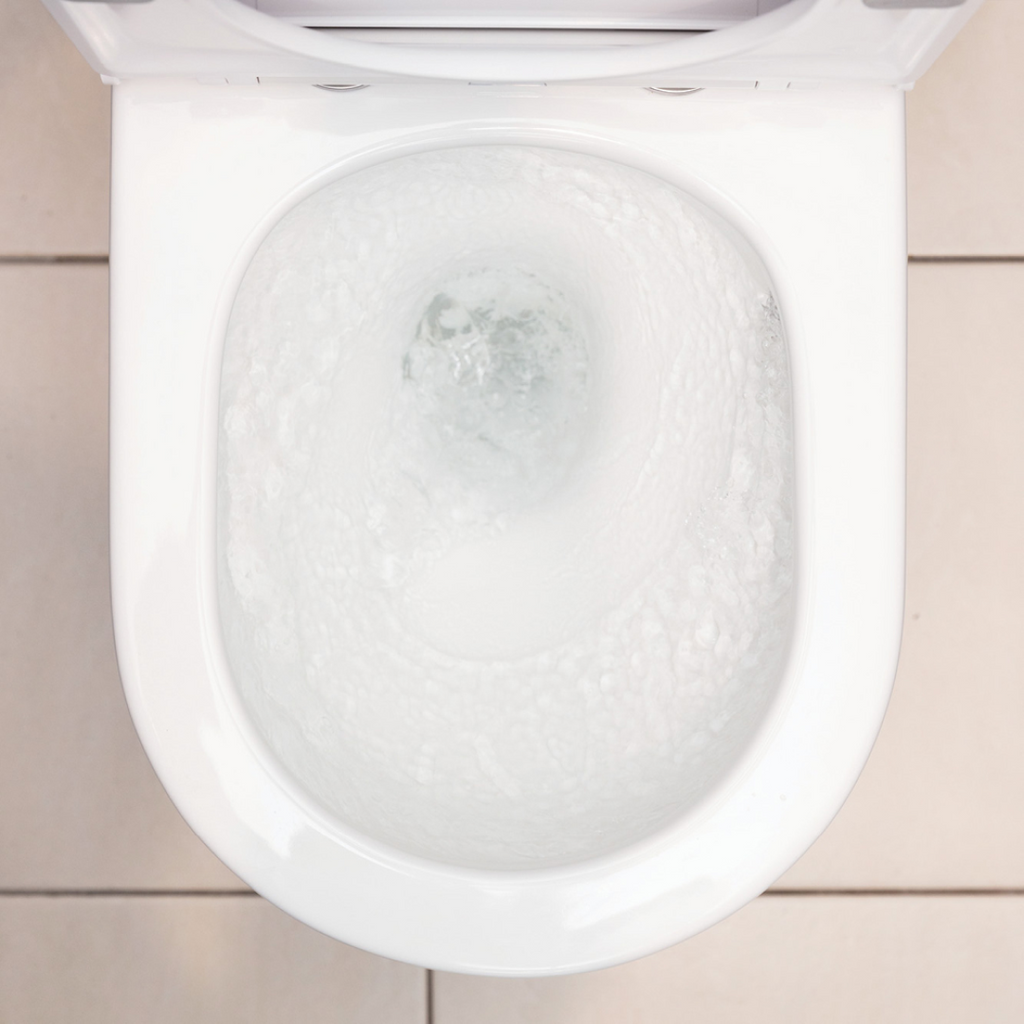Fienza Aluca BTW Toilet Suite Slim Seat Back Inlet S-Trap Geberit Cistern - K314GEA-2