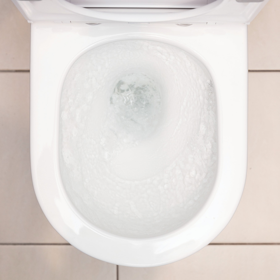 Fienza Aluca BTW Toilet Suite Slim Seat Back Inlet S-Trap Geberit Cistern - K314GEA-2