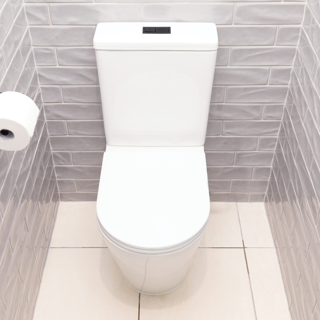 Fienza Aluca BTW Toilet Suite Slim Seat Bottom Inlet S-Trap R&T Cistern - K314A-2