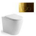 Argent Grace Hygienic Flush Wall Faced Package - Argent Cistern - Round Brushed Gold Button - 8H16901S4B + IN38905 + F5020BG