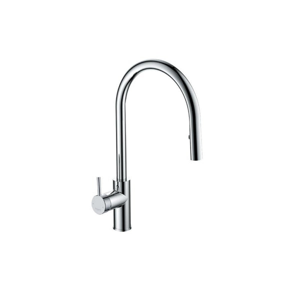 Argent Grace Gooseneck Kitchen Mixer with Pull-Out Spray - Chrome