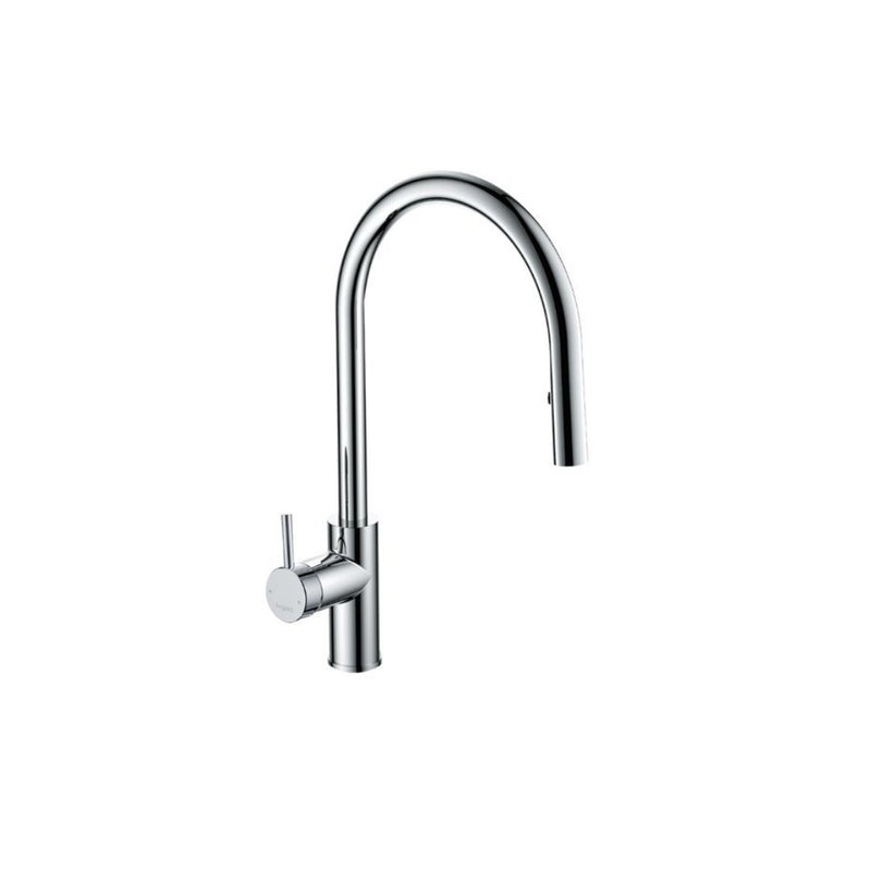 Argent Grace Gooseneck Kitchen Mixer with Pull-Out Spray - Chrome