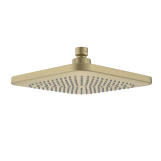 Caroma Luna Overhead Shower Head - Brushed Brass - 90386BB4E