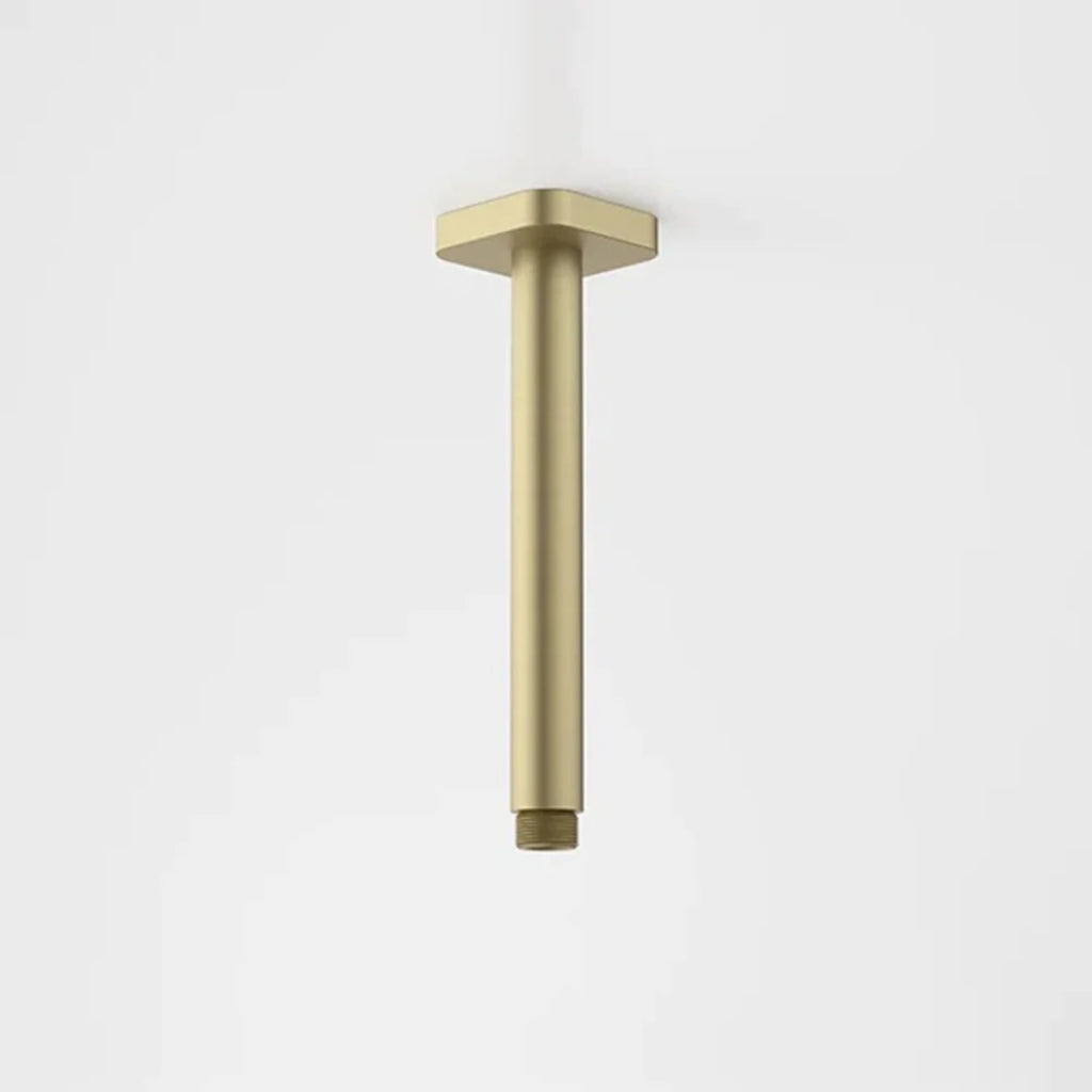 Caroma Luna Straight Arm Square Flange 210mm - Brushed Brass - 90388BB