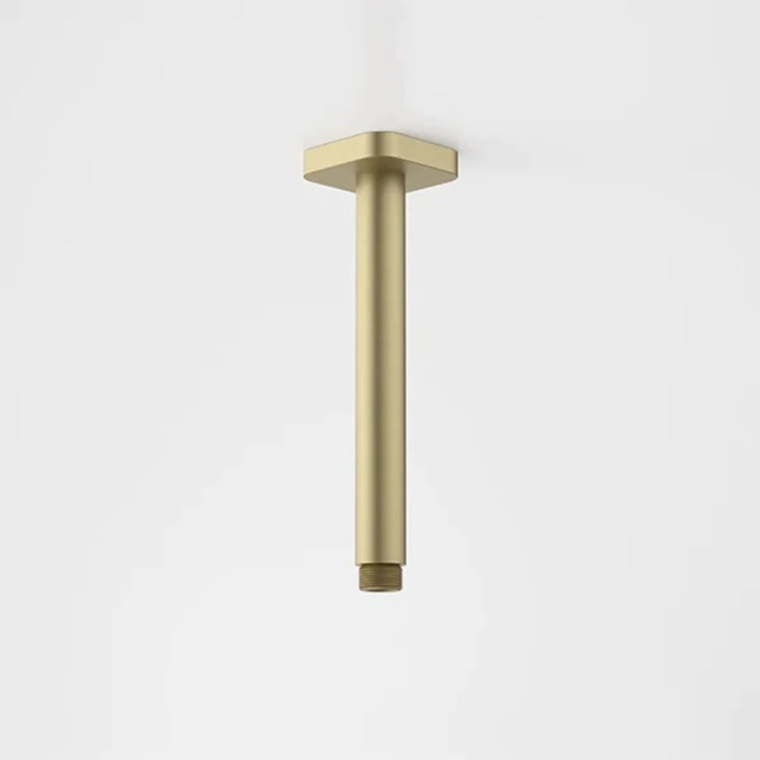 Caroma Luna Straight Arm Square Flange 210mm - Brushed Brass - 90388BB