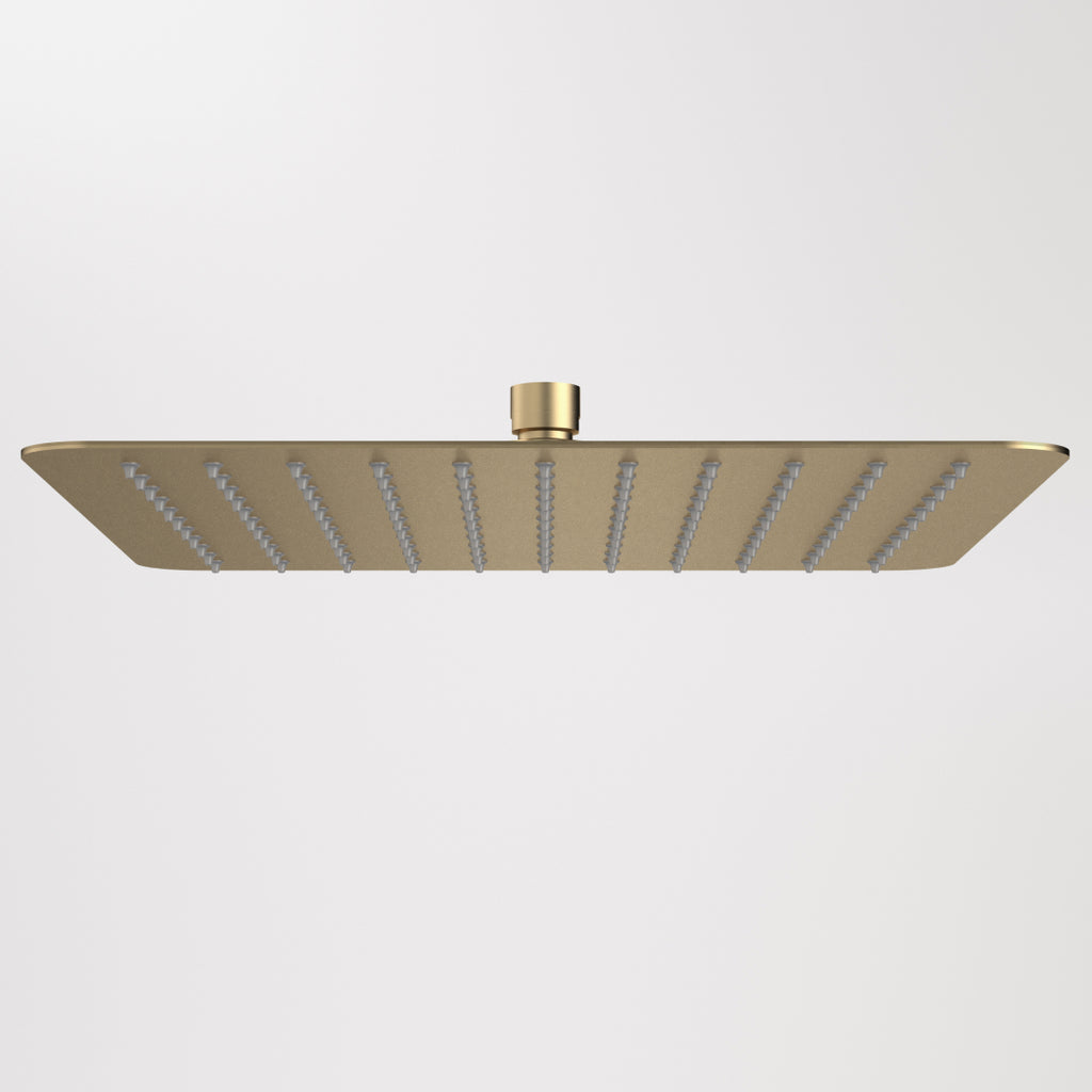 Caroma Urbane II 300mm Square Rain Shower - Brushed Brass - 99655BB3A