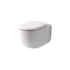 Caroma Contura II Cleanflush® Wall Hung Invisi Series II® Suite GermGard® - Matte White - Brushed Nickel Button - 849001MW + 848810BN
