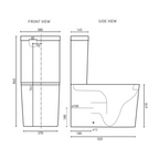 Decina San Diego Rimless Back to Wall Toilet Suite - SDTSWFS