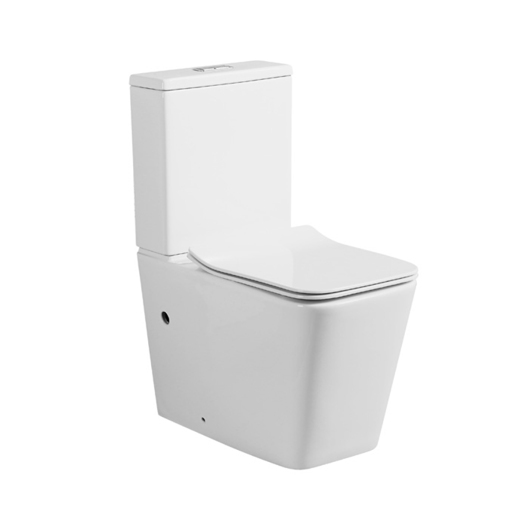Decina San Diego Rimless Back to Wall Toilet Suite - SDTSWFS