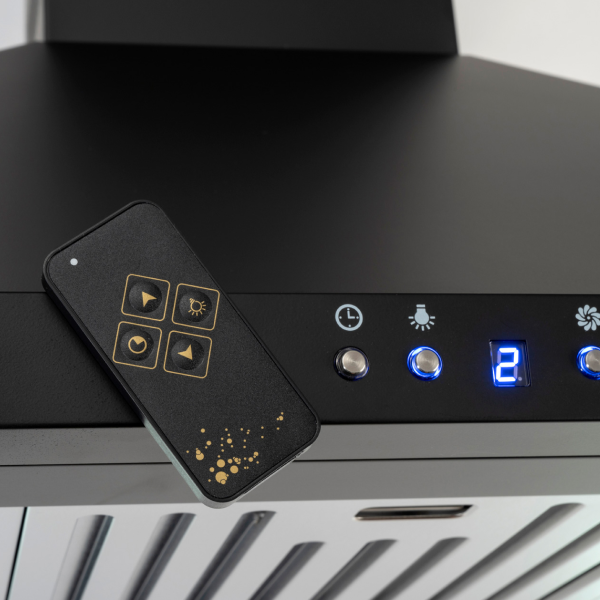 Euro Appliances 90cm Alfresco Canopy - EBB900BK3R