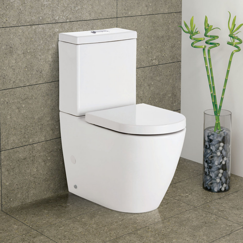 Fienza Empire BTW Toilet Suite R&T Cistern S-Trap - Back Inlet