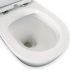 Fienza Isabella BTW Toilet Suite Geberit Cistern S-Trap - Bottom Inlet - K014GEA