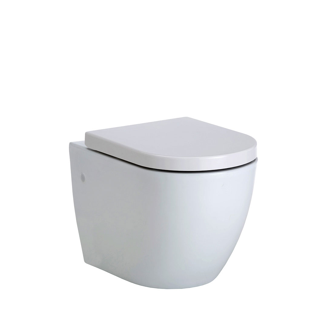 Fienza Koko Wall Hung Toilet & Geberit Cistern - No Flush Button - K2376W-GE