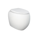 Fienza Rak Cloud Wall Faced Pan & Seat - P-Trap - 890050MW