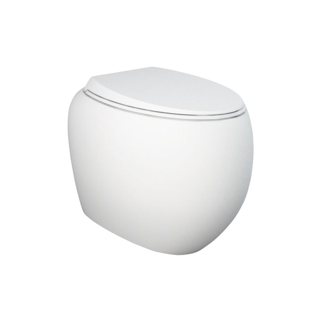 Fienza Rak Cloud Wall Faced Pan & Seat - S-Trap - 890050MWA