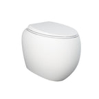 Fienza Rak Cloud Wall Faced Pan & Seat - S-Trap - 890050MWA