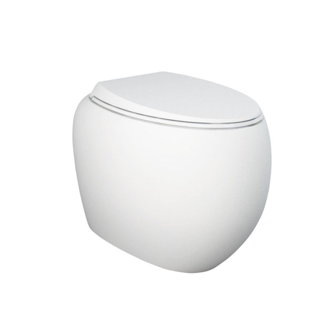 Fienza Rak Cloud Wall Faced Pan & Seat - S-Trap - 890050MWA