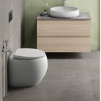 Fienza Rak Cloud Wall Faced P-Trap Toilet Suite - R&T Cistern - 897750MW