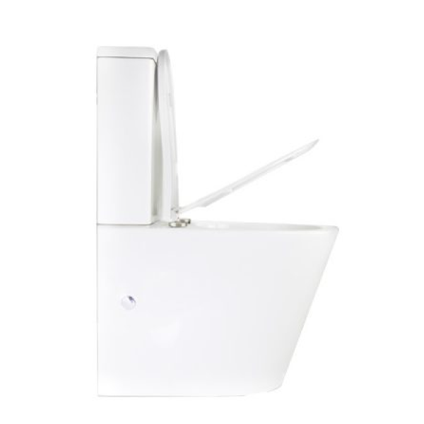 Decina Renee Rimless Uni Back-to-Wall Toilet Suite - RETSWFS