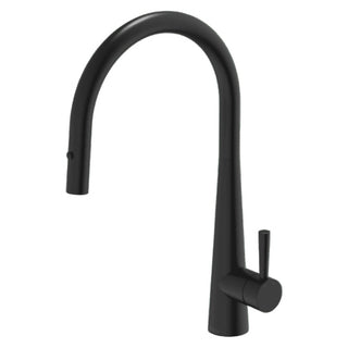 Gareth Ashton 304 Gooseneck Pull Out Kitchen Mixer with Dual Spray Function - Matt Black - KTA014-B