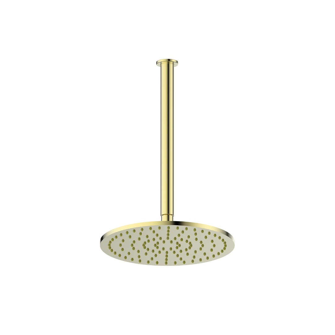 Greens Lavish Brass Ceiling Shower - Brushed Brass - 239101BB