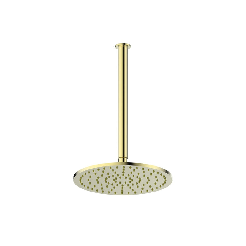 Greens Lavish Brass Ceiling Shower - Brushed Brass