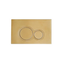 TOTO B&H Round Flush Panel - Brushed Brass