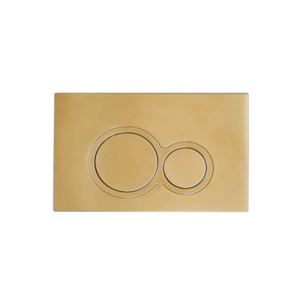 TOTO B&H Round Flush Panel - Brushed Brass