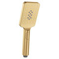 Fienza Tono Shower Hand Piece - Urban Brass - MSH116UB