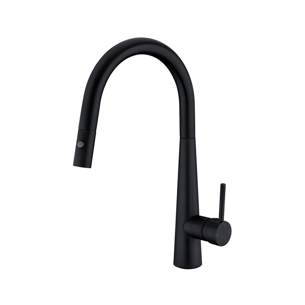 Nero Dolce Pull Out Sink Mixer with Vegie Spray - LF Matte Black - NR581009cMB