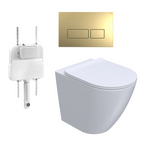 Parisi Ellisse PN610 Mk II Floor Mount Toilet Package - Includes Gold Blade Flush Plate - PN610 + PA110 + PA236