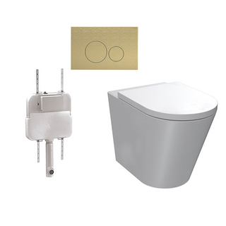 Parisi Linfa PN770 Rimless Floor Mount Package with Tondo Brushed Brass Flush Plate - PN770 + PA110 + PA220.46