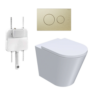 Parisi Linfa PN770 Rimless Floor Mount Package with Tondo II Brushed Brass Flush Plate - PN770 + PA110 + PA400.46